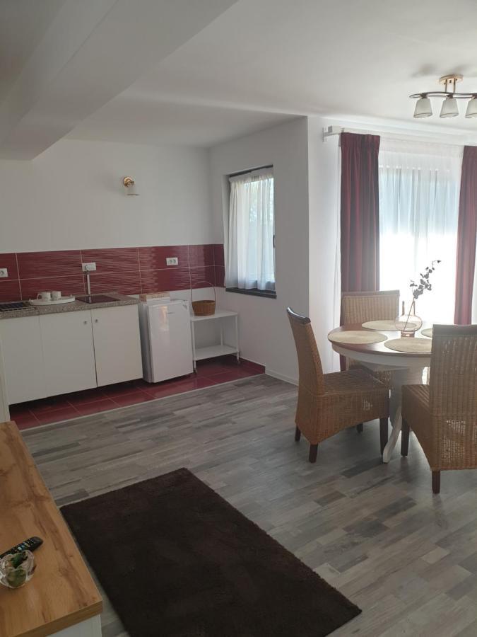 Casa Danei Guest house Brasov